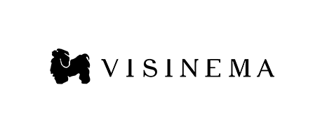 Visinema Group